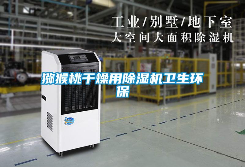 獼猴桃干燥用除濕機衛生環保