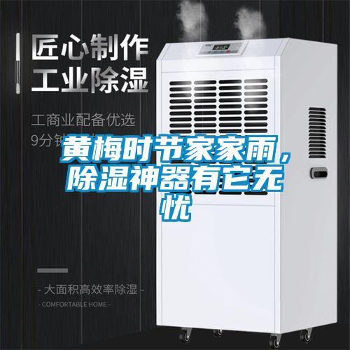 黃梅時(shí)節(jié)家家雨，除濕神器有它無憂