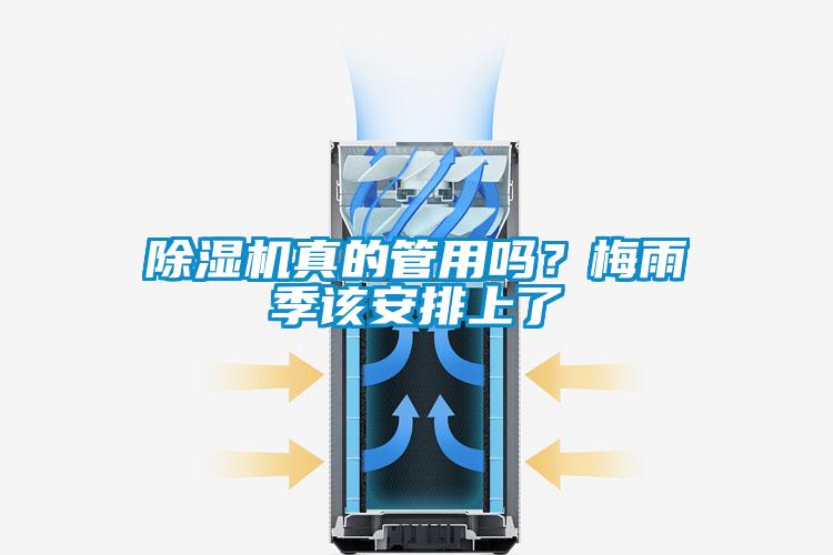 除濕機(jī)真的管用嗎？梅雨季該安排上了