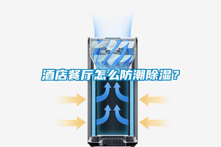 酒店餐廳怎么防潮除濕？