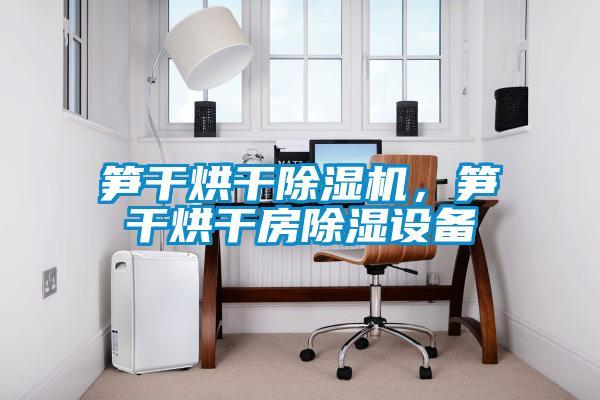 筍干烘干除濕機，筍干烘干房除濕設備