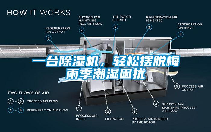 一臺除濕機，輕松擺脫梅雨季潮濕困擾