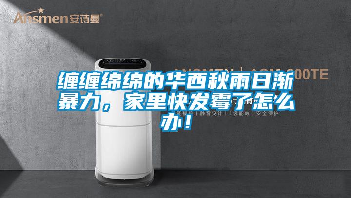 纏纏綿綿的華西秋雨日漸暴力，家里快發霉了怎么辦！