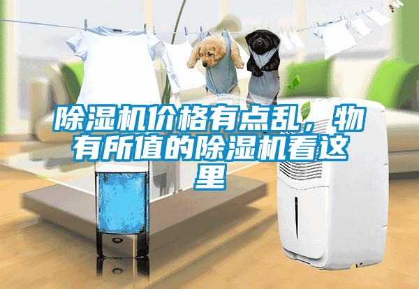 除濕機價格有點亂，物有所值的除濕機看這里