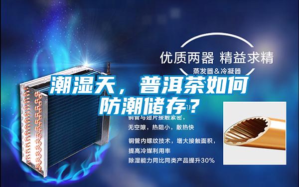 潮濕天，普洱茶如何防潮儲(chǔ)存？