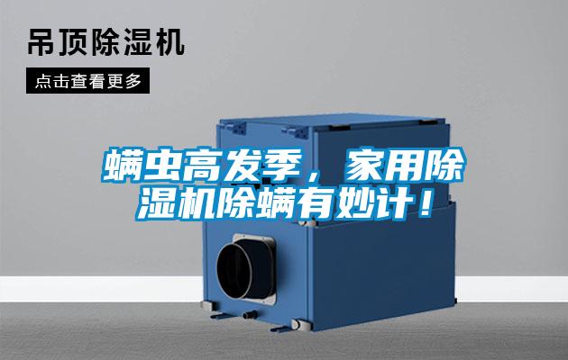 螨蟲高發季，家用除濕機除螨有妙計！