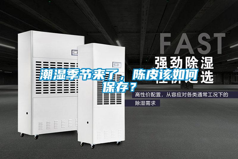 潮濕季節來了，陳皮該如何保存？
