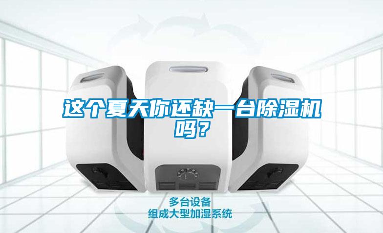 這個夏天你還缺一臺除濕機嗎？