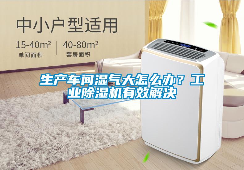 生產(chǎn)車間濕氣大怎么辦?工業(yè)除濕機(jī)有效解決