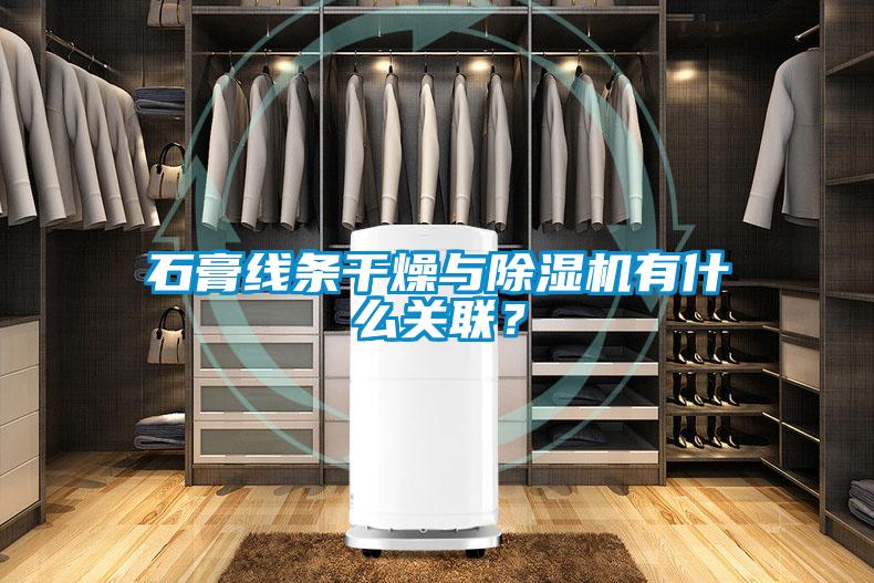 石膏線條干燥與除濕機有什么關聯？