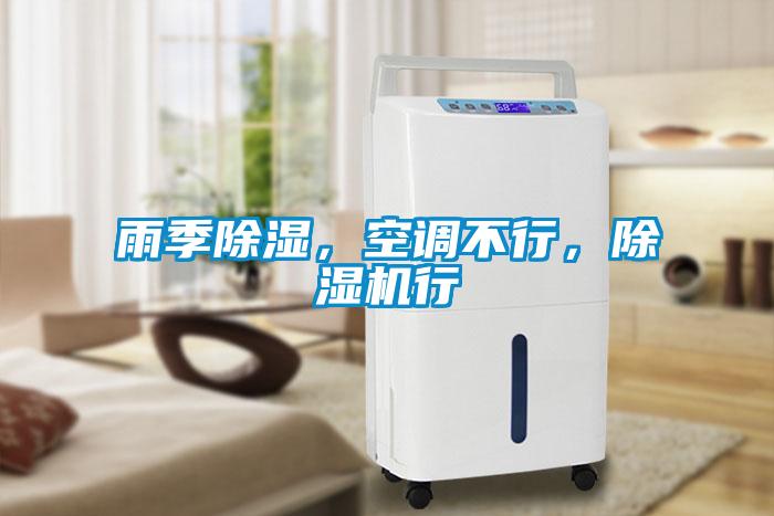 雨季除濕，空調(diào)不行，除濕機(jī)行