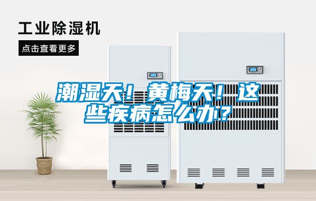 潮濕天！黃梅天！這些疾病怎么辦？