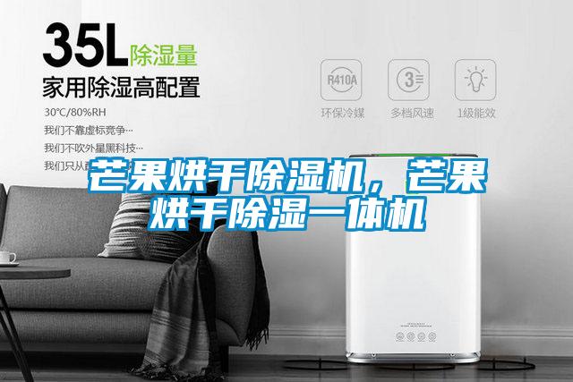 芒果烘干除濕機，芒果烘干除濕一體機