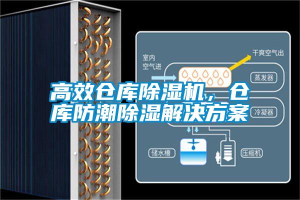 高效倉(cāng)庫(kù)除濕機(jī)，倉(cāng)庫(kù)防潮除濕解決方案