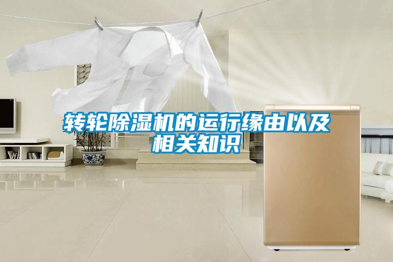 轉(zhuǎn)輪除濕機的運行緣由以及相關知識