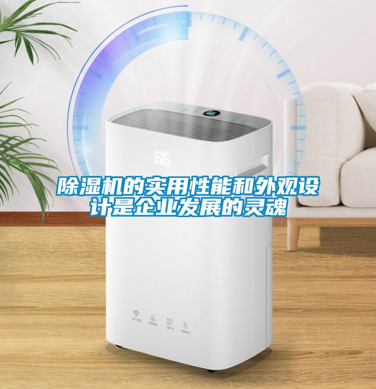除濕機的實用性能和外觀設計是企業發展的靈魂
