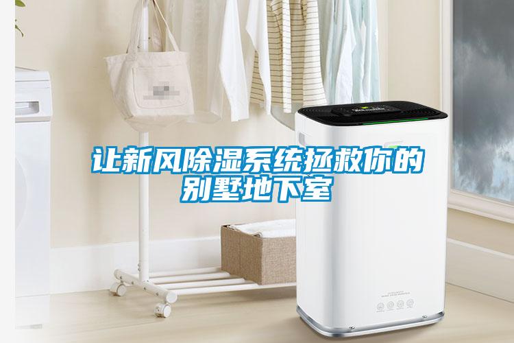 讓新風除濕系統拯救你的別墅地下室
