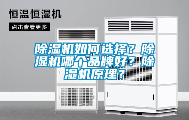 除濕機如何選擇？除濕機哪個品牌好？除濕機原理？