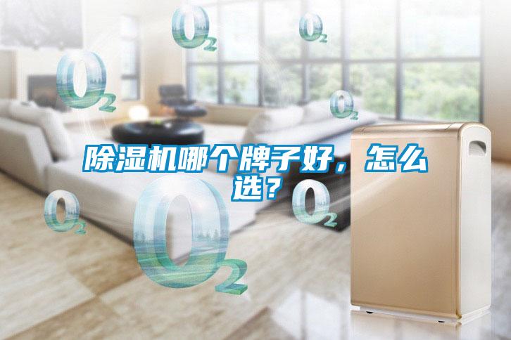 除濕機哪個牌子好，怎么選？