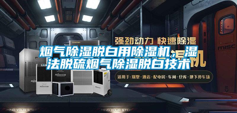 煙氣除濕脫白用除濕機，濕法脫硫煙氣除濕脫白技術