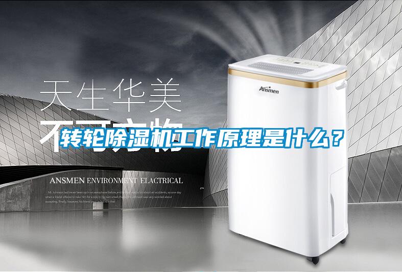 轉輪除濕機工作原理是什么？