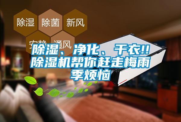 除濕、凈化、干衣!!除濕機(jī)幫你趕走梅雨季煩惱