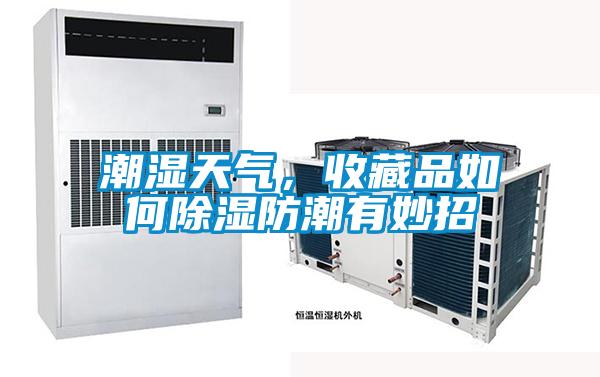 潮濕天氣，收藏品如何除濕防潮有妙招