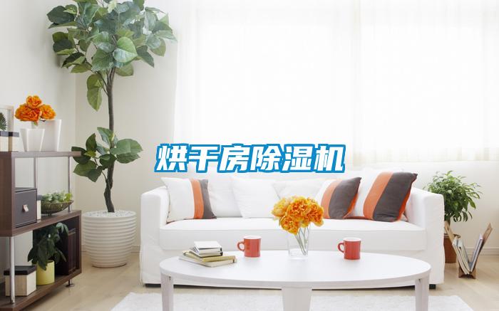 烘干房除濕機