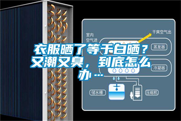 衣服曬了等于白曬？又潮又臭，到底怎么辦…
