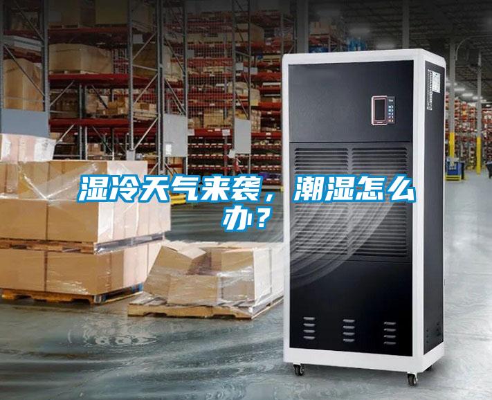 濕冷天氣來襲，潮濕怎么辦？