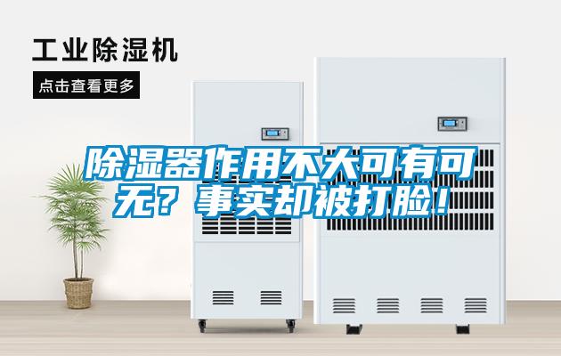 除濕器作用不大可有可無(wú)？事實(shí)卻被打臉！