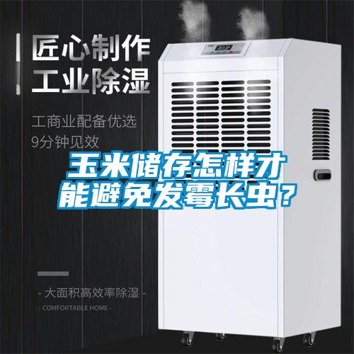 玉米儲(chǔ)存怎樣才能避免發(fā)霉長(zhǎng)蟲(chóng)？