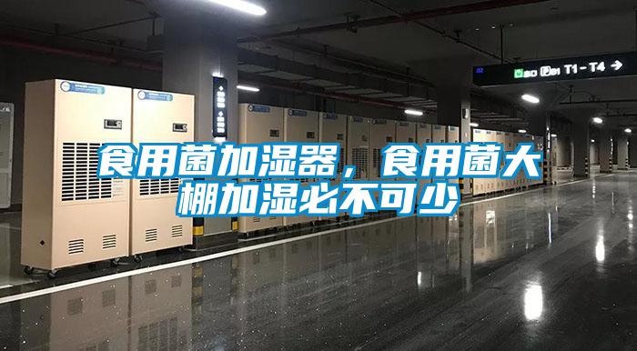 食用菌加濕器，食用菌大棚加濕必不可少