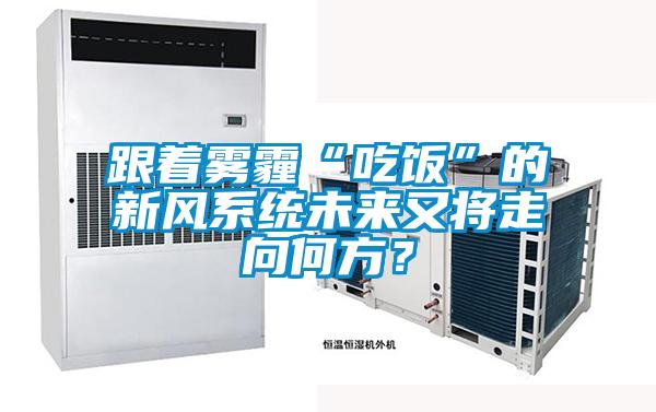 跟著霧霾“吃飯”的新風(fēng)系統(tǒng)未來又將走向何方？