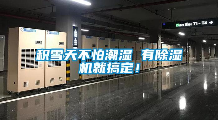 積雪天不怕潮濕 有除濕機就搞定！