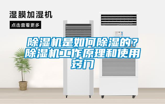 除濕機是如何除濕的？除濕機工作原理和使用竅門
