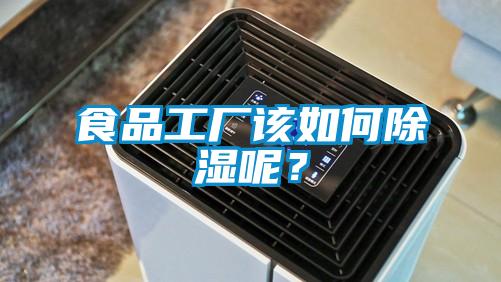 食品工廠該如何除濕呢？