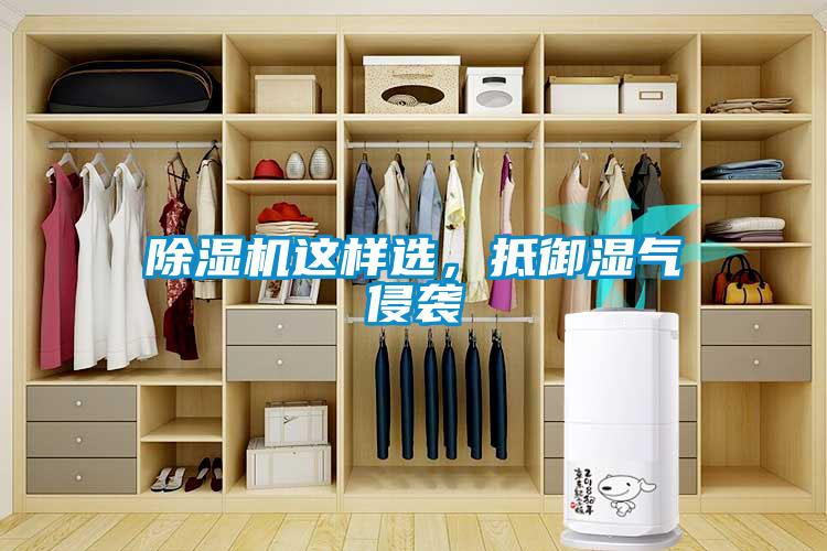 除濕機這樣選，抵御濕氣侵襲