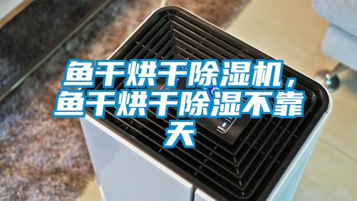 魚干烘干除濕機，魚干烘干除濕不靠天