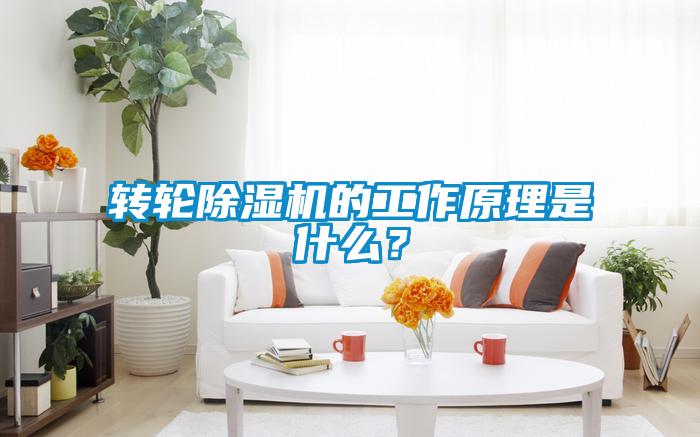 轉輪除濕機的工作原理是什么？