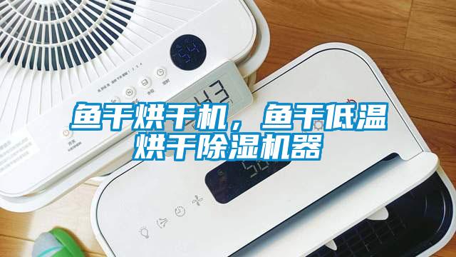 魚干烘干機(jī)，魚干低溫烘干除濕機(jī)器
