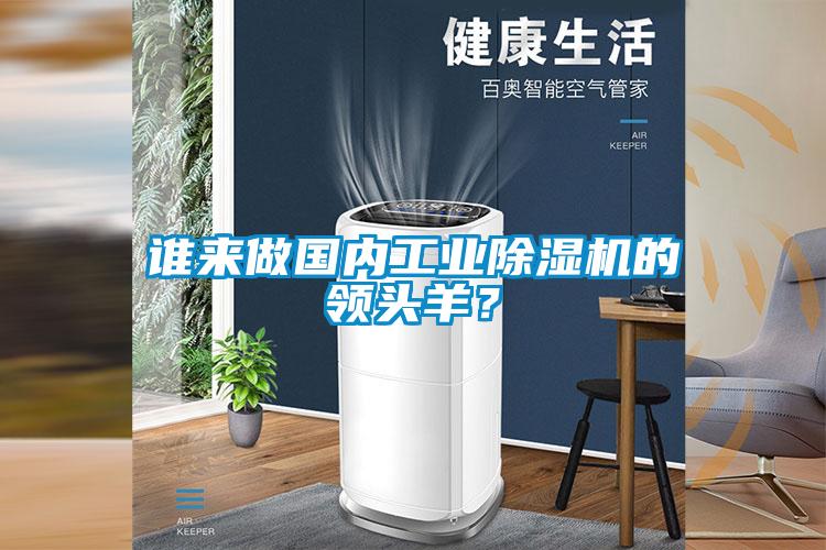 誰來做國內工業除濕機的領頭羊？