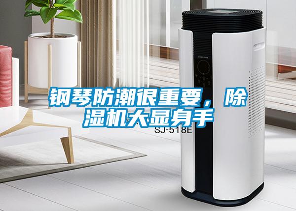 鋼琴防潮很重要，除濕機大顯身手