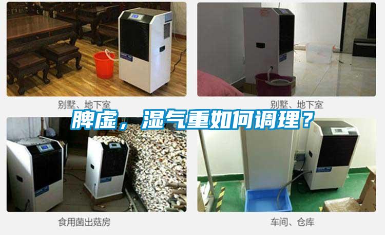 脾虛，濕氣重如何調理？