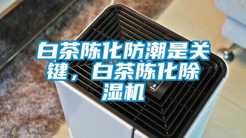 白茶陳化防潮是關(guān)鍵，白茶陳化除濕機