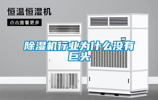 除濕機行業為什么沒有巨頭