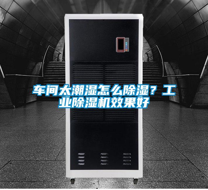 車間太潮濕怎么除濕？工業除濕機效果好