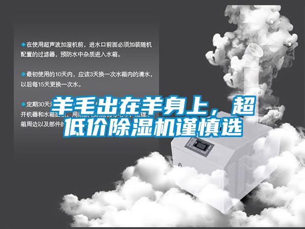 羊毛出在羊身上，超低價除濕機謹慎選