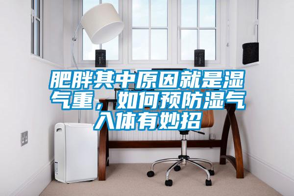 肥胖其中原因就是濕氣重，如何預防濕氣入體有妙招
