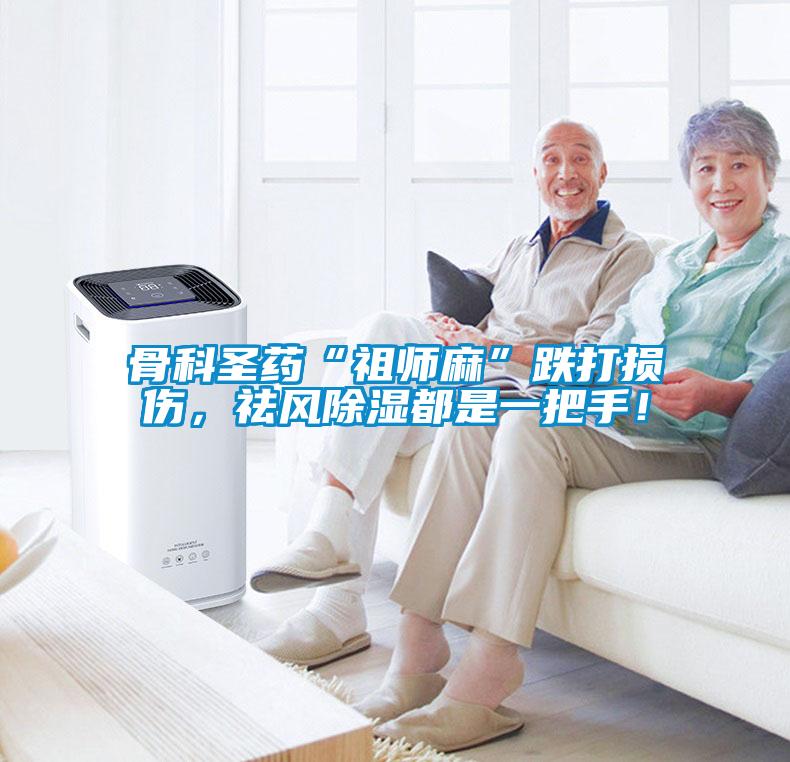 骨科圣藥“祖師麻”跌打損傷，祛風(fēng)除濕都是一把手！